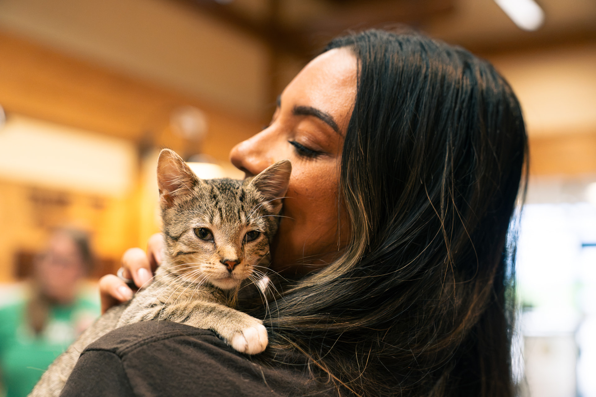 A volunteer hugging a tabby kitten