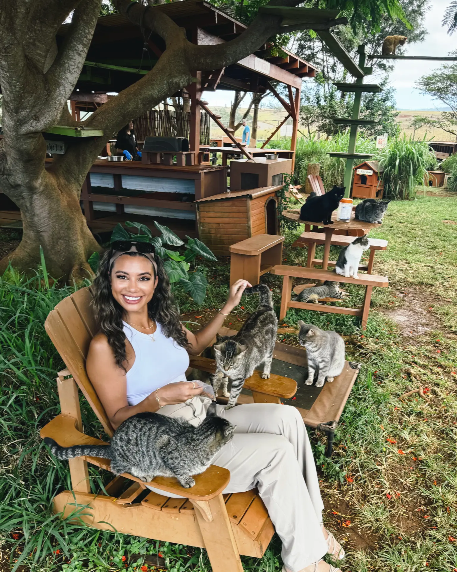 Aysia with cats at the Lanai Cat Sanctuary