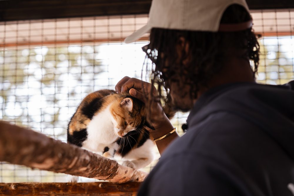 Myles from The Casper Foundation with a rescue cat
